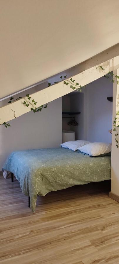 L'Appartement 7 - Centre Ville-Parking-Tv-Wifi Tarbes Bagian luar foto